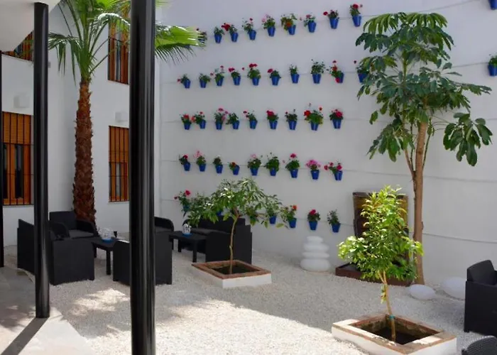 Casa Patio Las Palmeras Cordoba Con Piscina